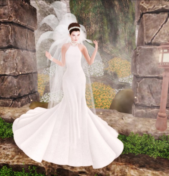 Today is the day.jpg